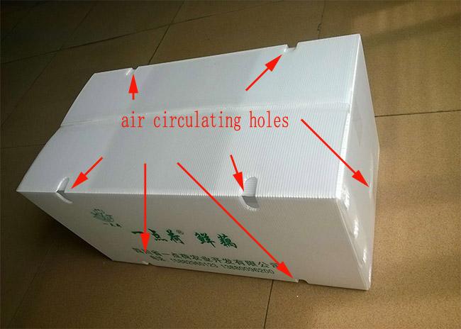 Caixas plásticas dobráveis com furos de circulação do ar para transportar vegetais
