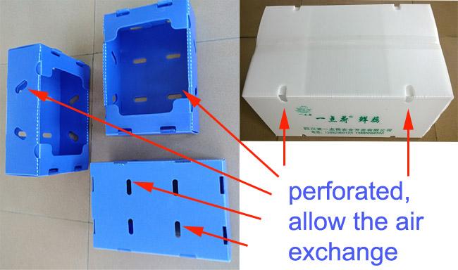 caixas plásticas perfuradas para permitir a troca de ar