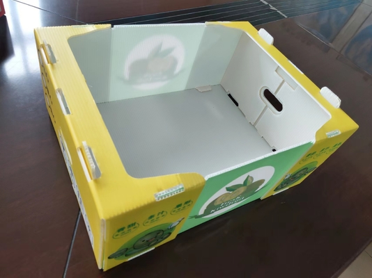Caixa de frutas de plástico reutilizável com capacidade personalizada e ventilação com impressão colorida