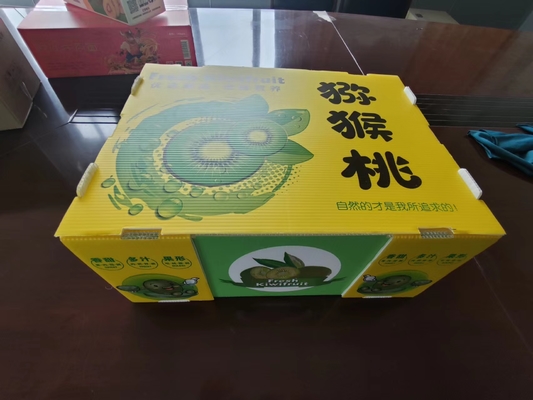 Caixa de frutas de plástico reutilizável com capacidade personalizada e ventilação com impressão colorida