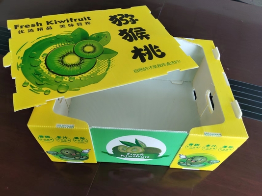 Caixa de frutas de plástico reutilizável com capacidade personalizada e ventilação com impressão colorida